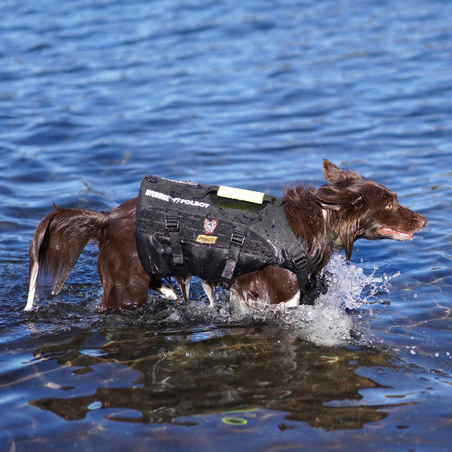 TFD for DOG発売記念 POP UP SHOP in CRUISE Bicycle+Cafe