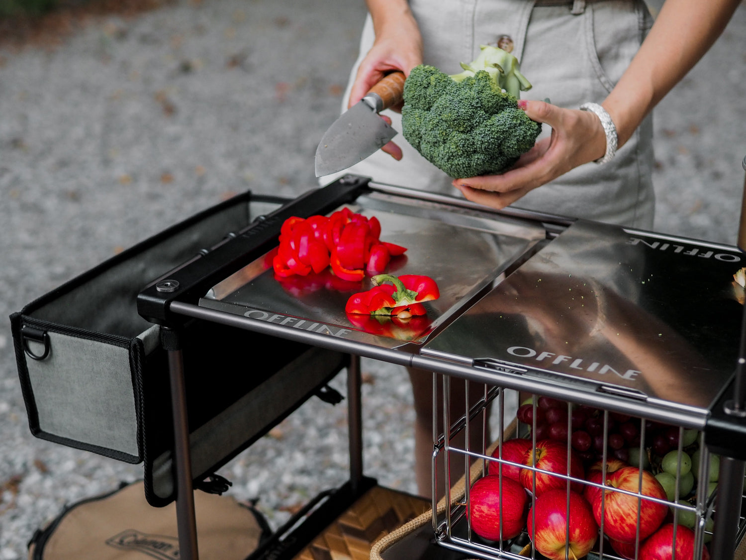 【OFFLINE】との出会い