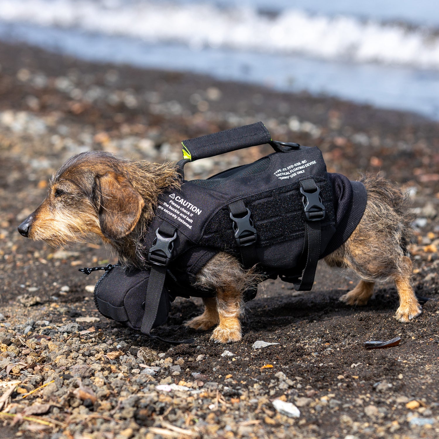 TFD for DOG Sサイズ