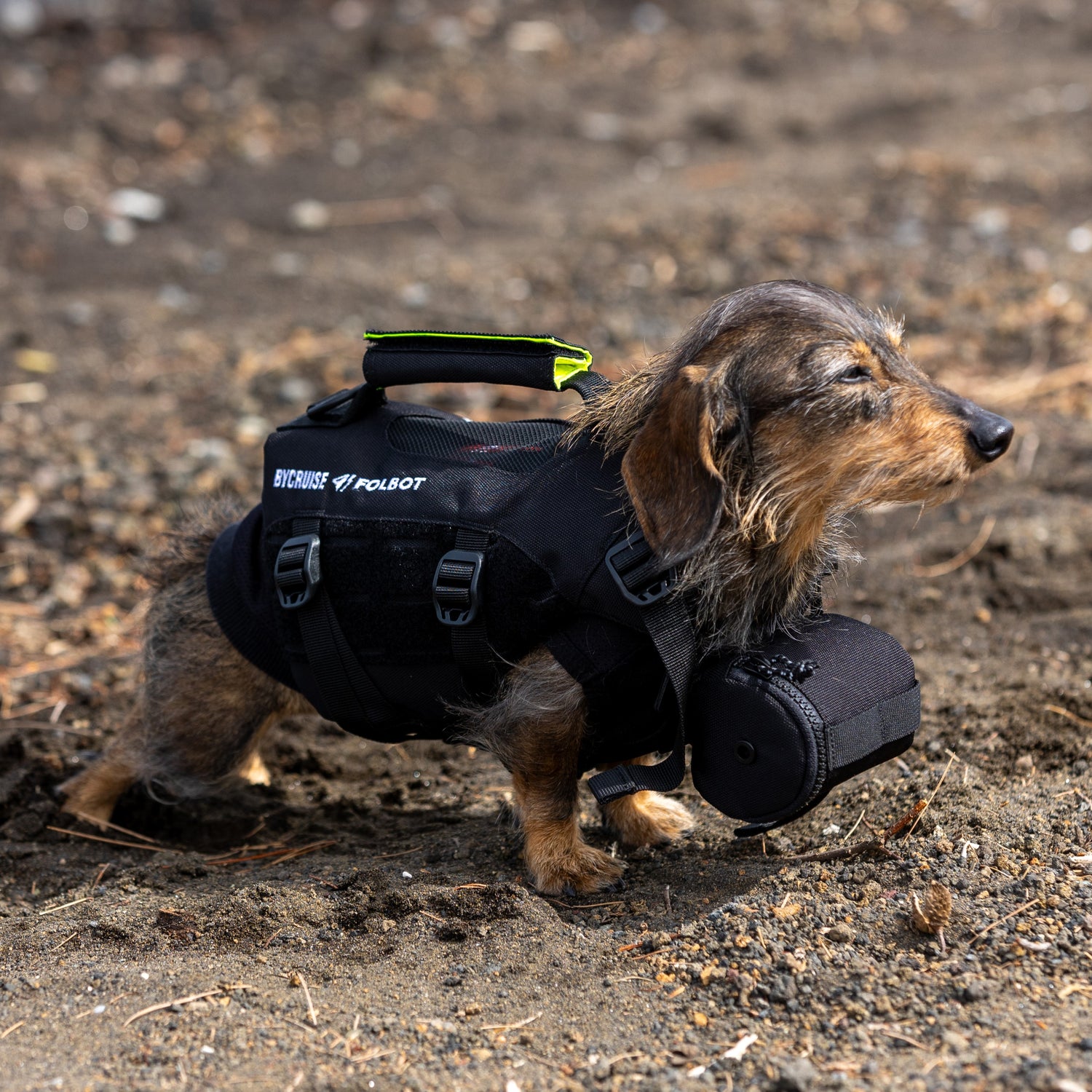 TFD for DOG Sサイズ