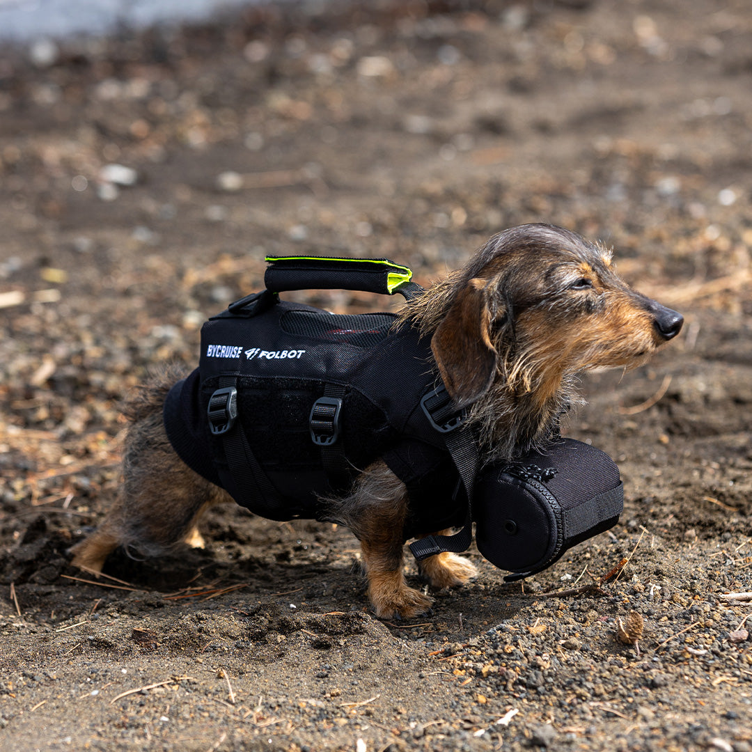 TFD for DOG – FOLBOT
