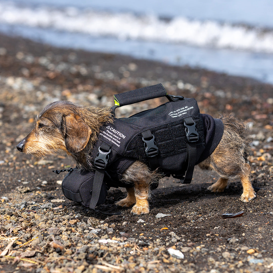 TFD for DOG – FOLBOT