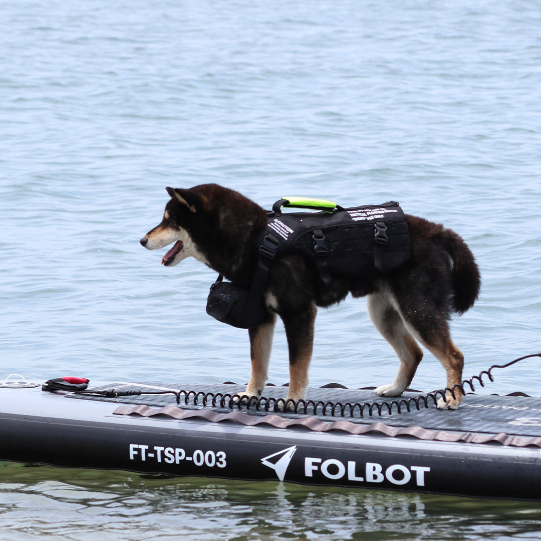 TFD for DOG – FOLBOT