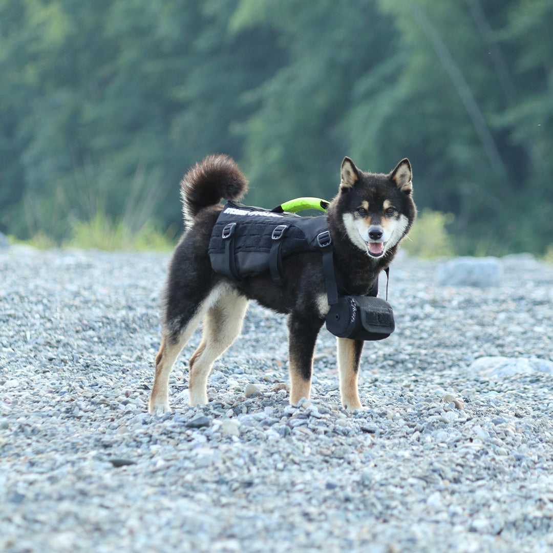 TFD for DOG – FOLBOT